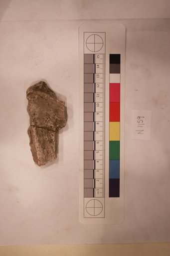 Stucco Fragment