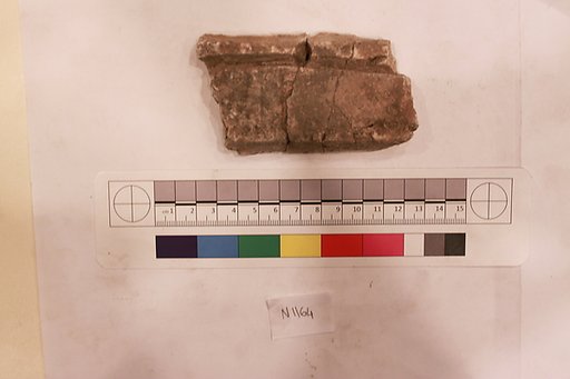 Stucco Fragment