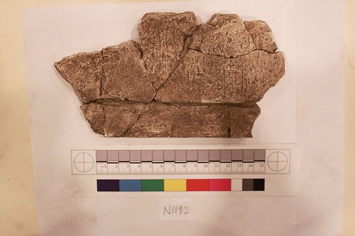 Stucco Fragment