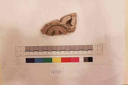 Stucco Fragment