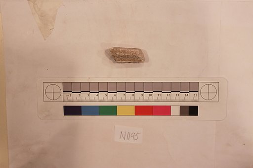 Stucco Fragment