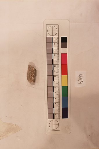 Stucco Fragment