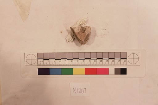 Stucco Fragment