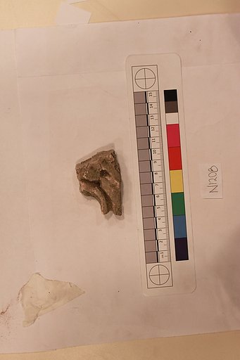 Stucco Fragment