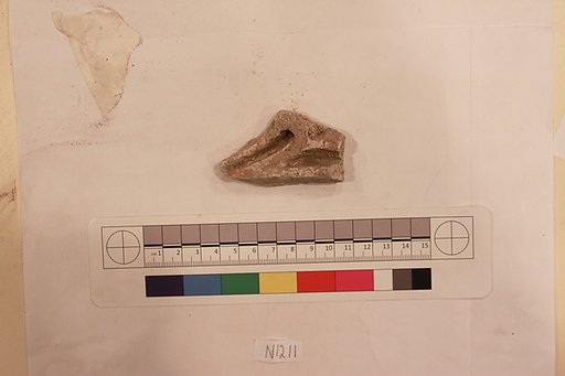 Stucco Fragment