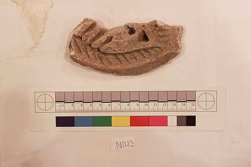 Stucco Fragment