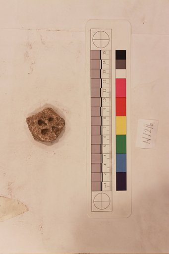 Stucco Fragment