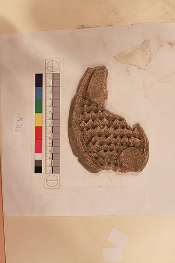 Stucco Fragment