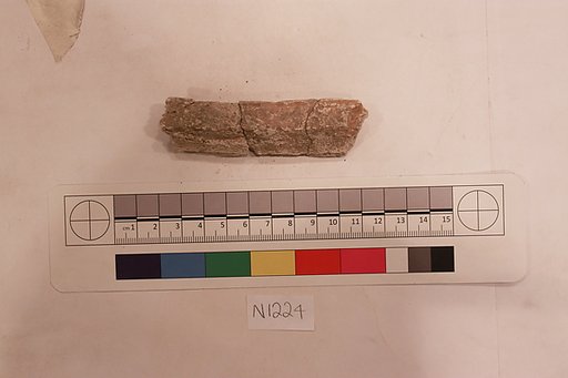 Stucco Fragment
