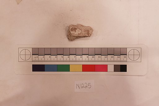 Stucco Fragment