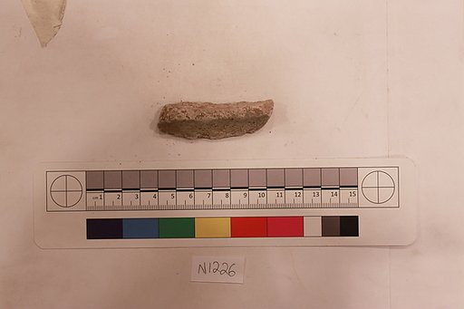 Stucco Fragment