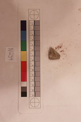 Stucco Fragment