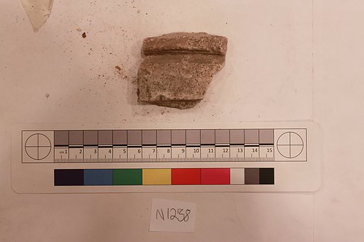 Stucco Fragment