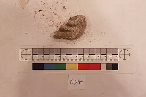 Stucco Fragment