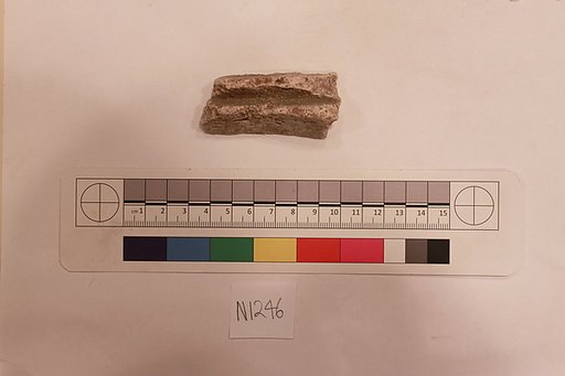 Stucco Fragment