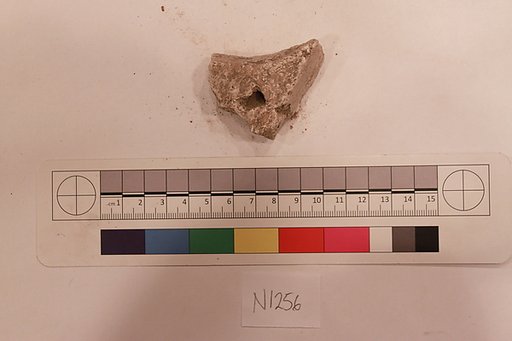 Stucco Fragment