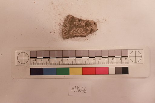 Stucco Fragment