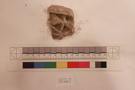 Stucco Fragment