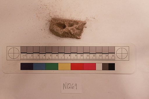 Stucco Fragment