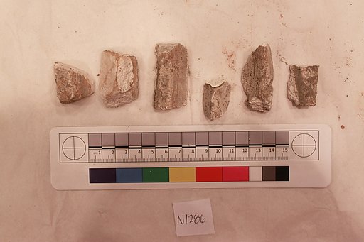 Stucco Fragment