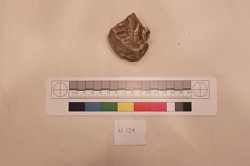 Stucco Fragment