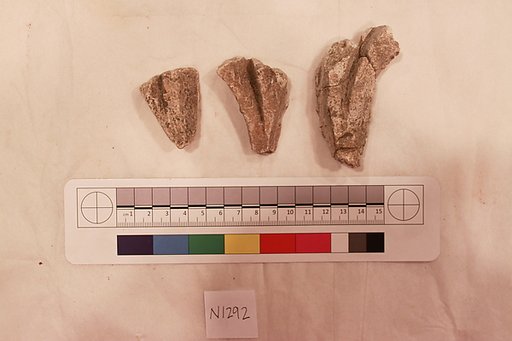 Stucco Fragment
