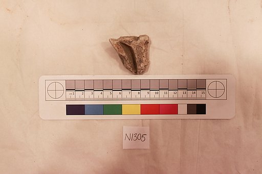 Stucco Fragment