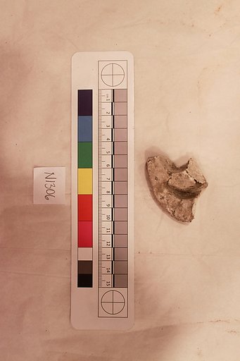 Stucco Fragment