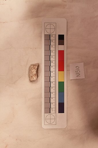 Stucco Fragment