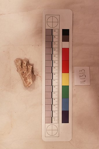 Stucco Fragment