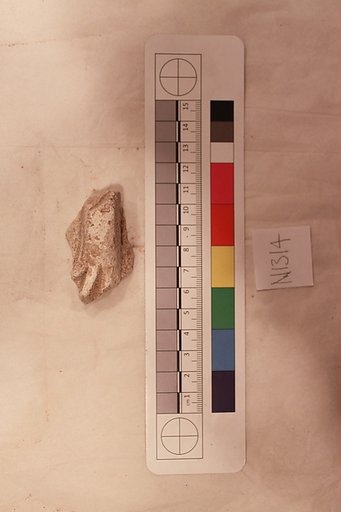 Stucco Fragment