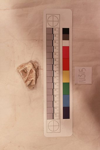 Stucco Fragment
