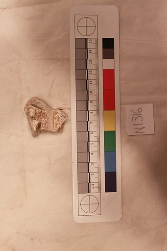 Stucco Fragment