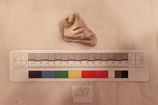 Stucco Fragment