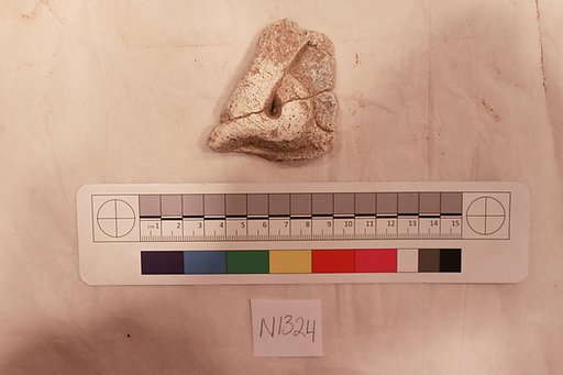 Stucco Fragment