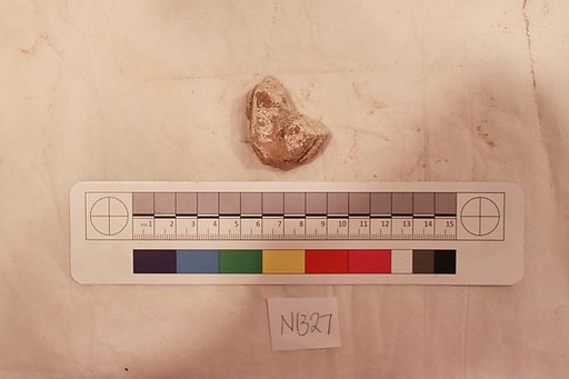 Stucco Fragment
