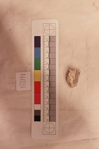 Stucco Fragment
