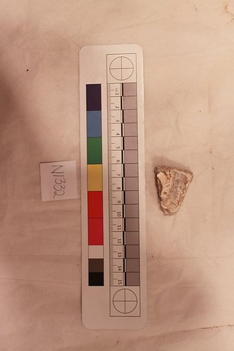 Stucco Fragment