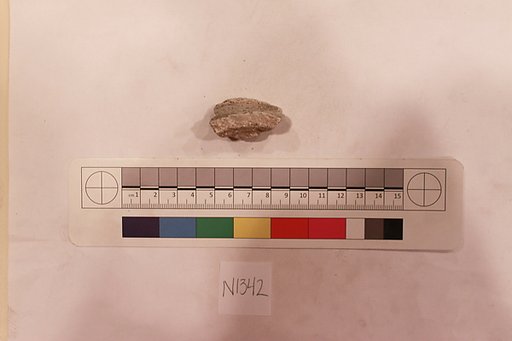 Stucco Fragment