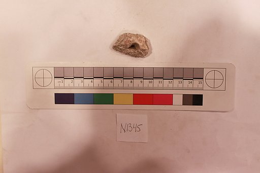 Stucco Fragment