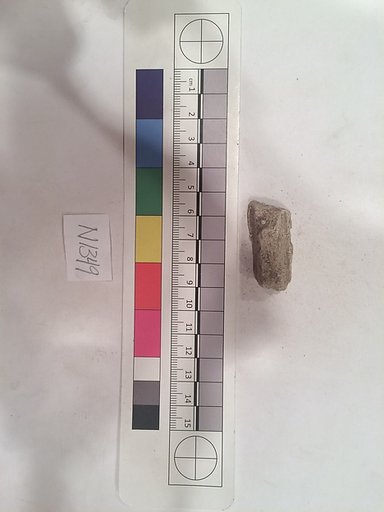 Stucco Fragment
