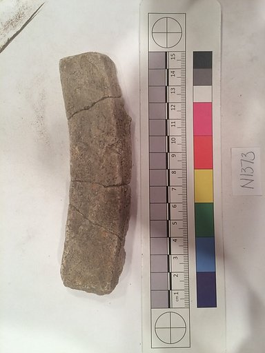 Stucco Fragment