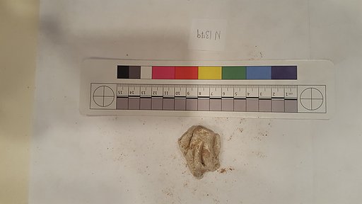 Stucco Fragment