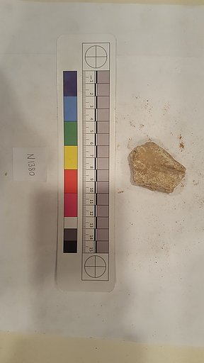 Stucco Fragment