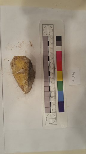 Stucco Fragment