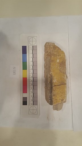 Stucco Fragment