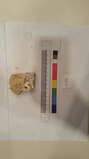 Stucco Fragment