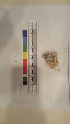 Stucco Fragment