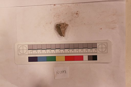 Stucco Fragment