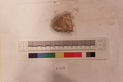 Stucco Fragment